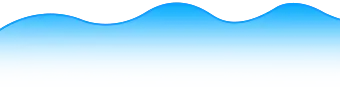 bg-chart
