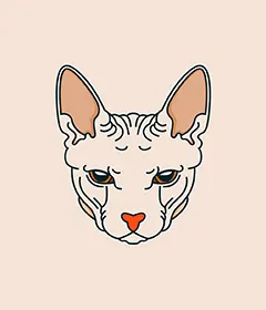 nft-img