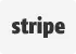 Svg Icon