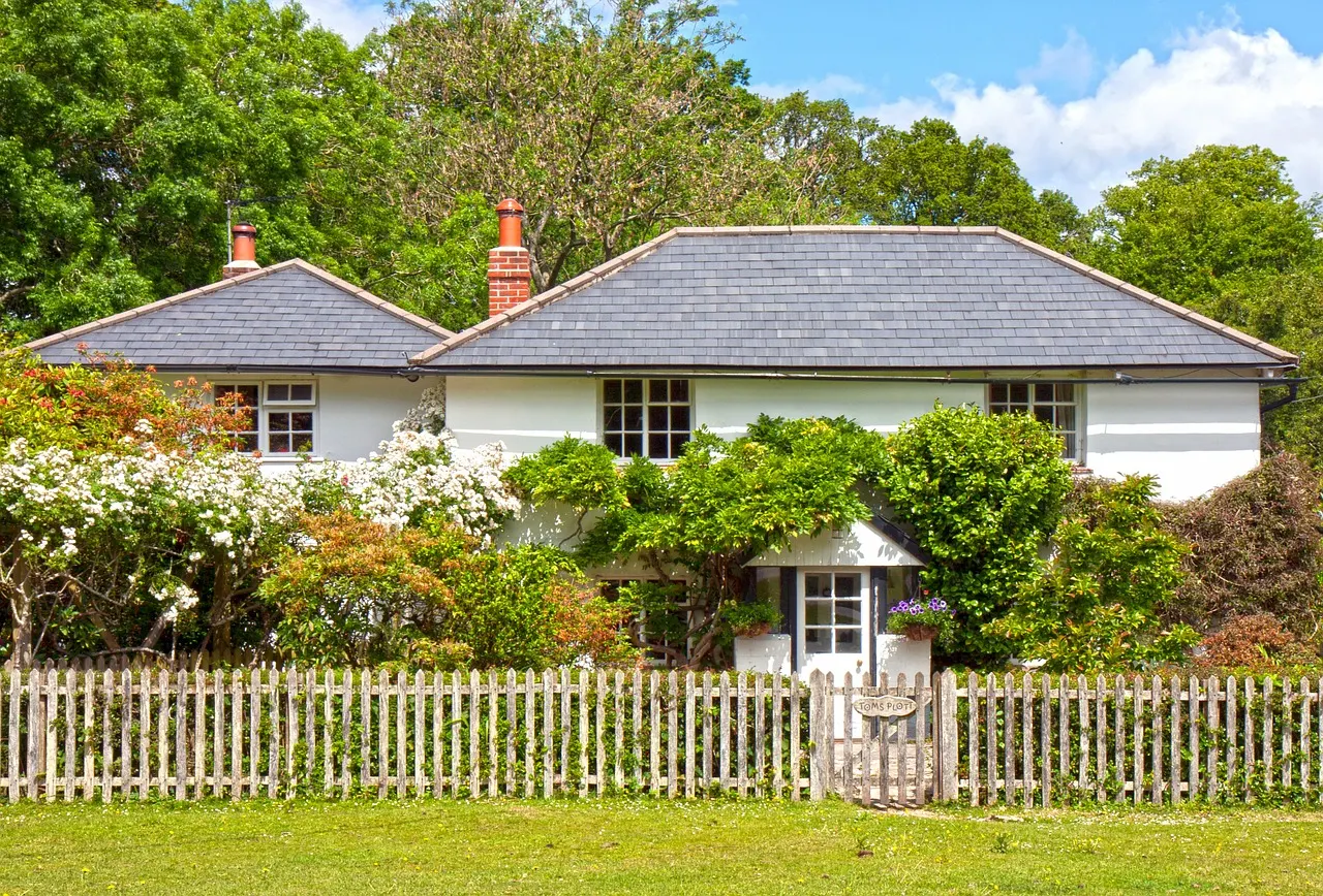 latest-property