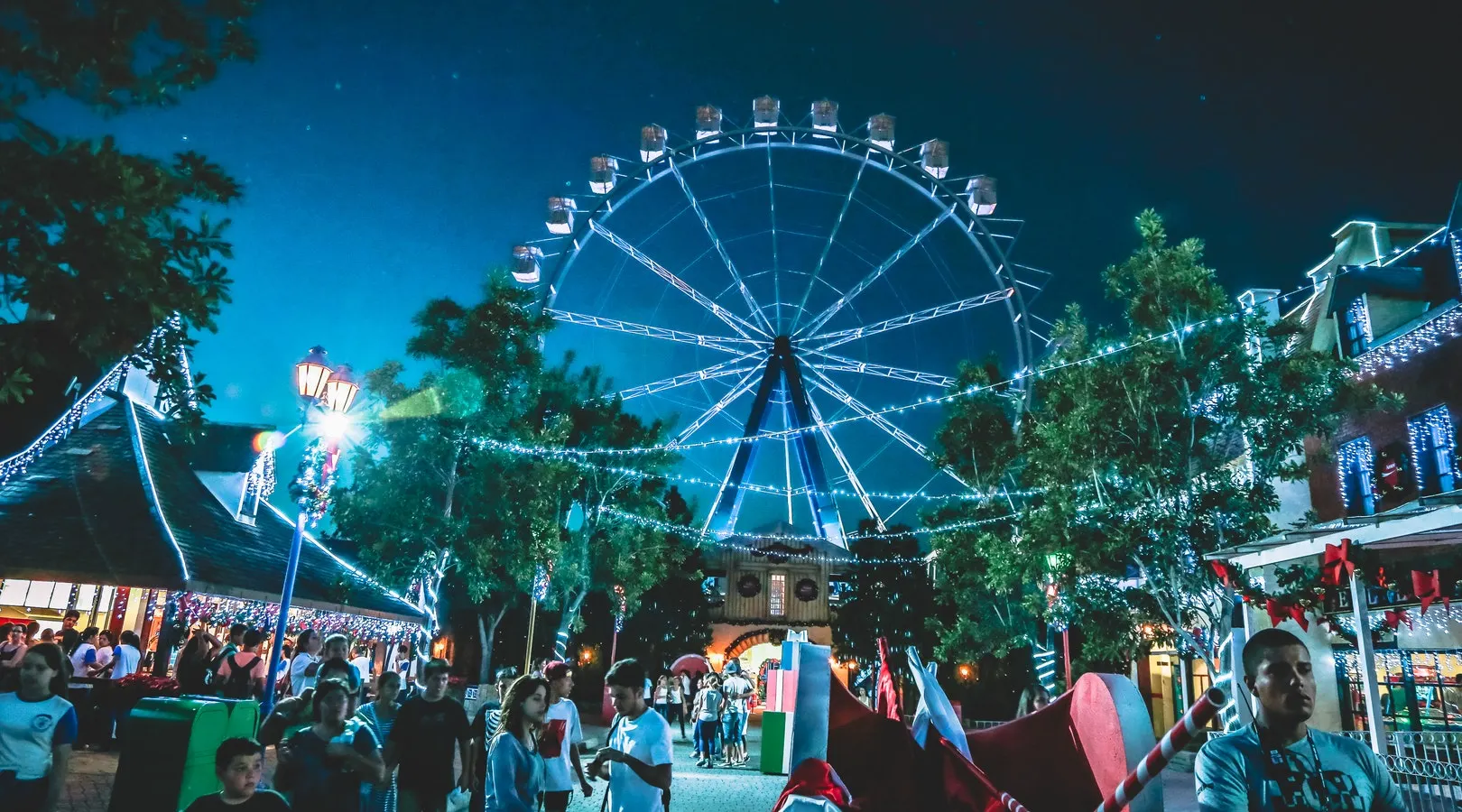 festival8
