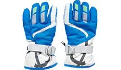 Shop Product Image