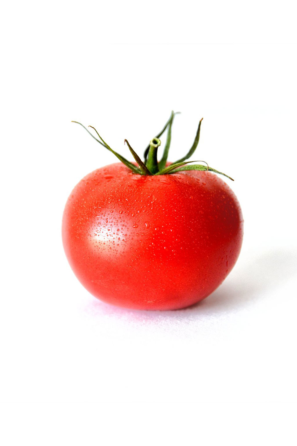 IMG-PRODUCT
