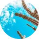 Post-Image