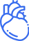 category icon