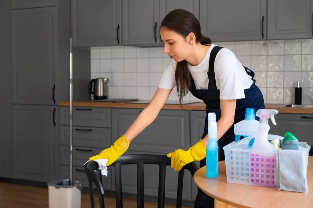 Professional home cleaning service