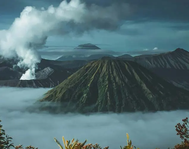 project gallery