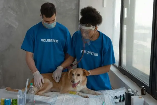 Vaccination Drive