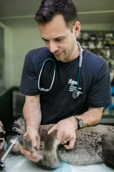 Vet Clinic FAQs Image