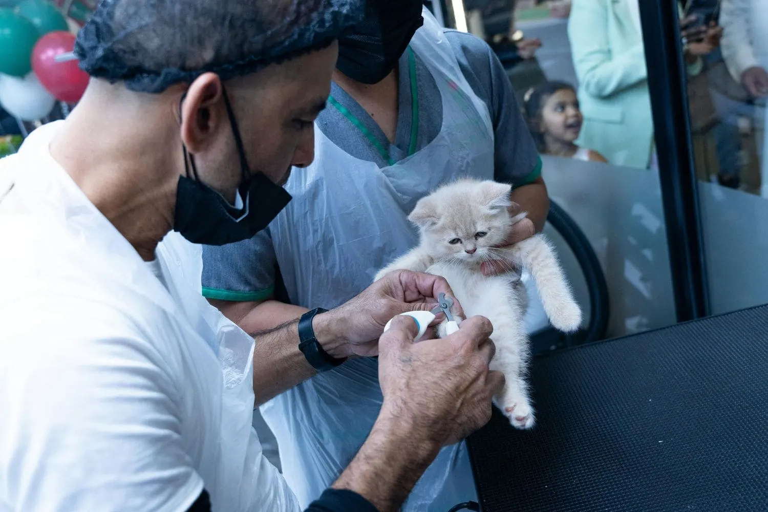 Pet Care Clinic