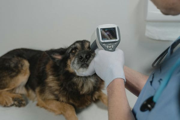Successful Knee Surgery Gallery Image 5