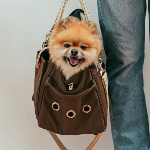 Popular-Product-Image