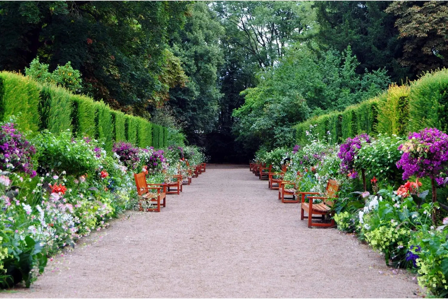 Gallery-Image