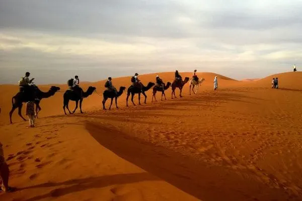 Desert Safari