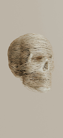 img-3