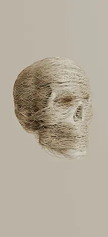 img-3