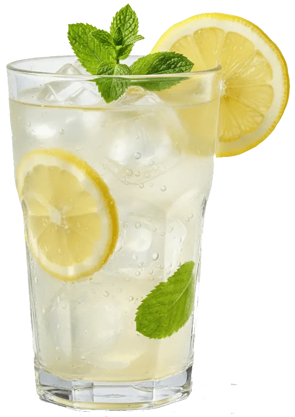 Fresh homemade lemonade with ice
