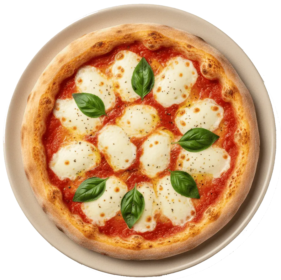 Fresh margherita pizza