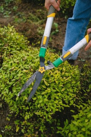 LeafLine Landscaping Experts