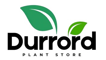 Client-Logo