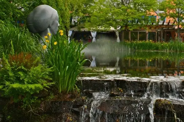 Zen Garden