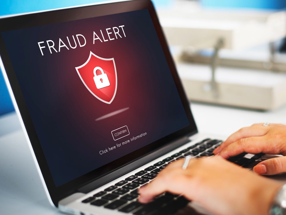 Financial Fraud Detection