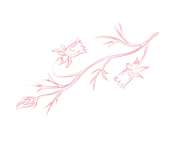 flower-vec