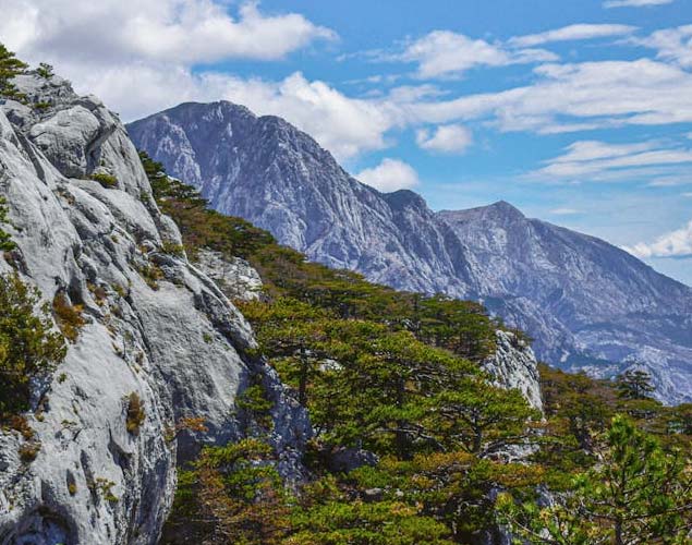 solar