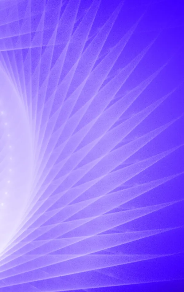 banner-shape1