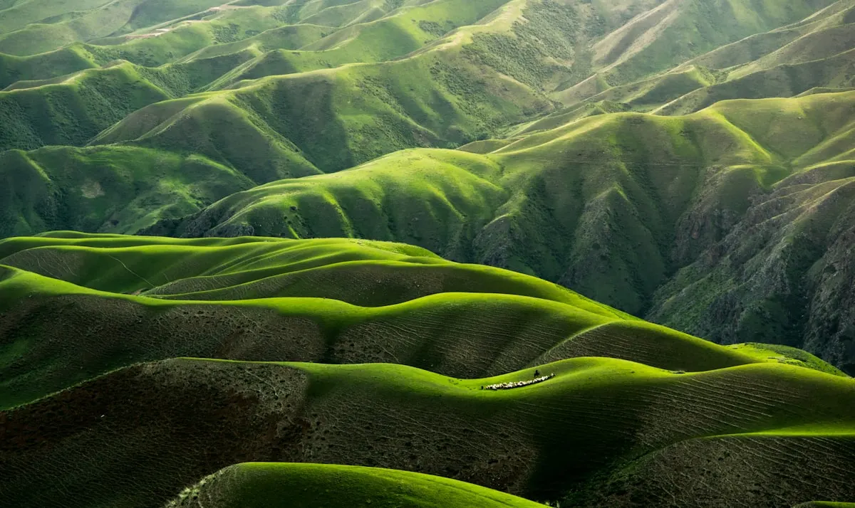 Mountain landscape