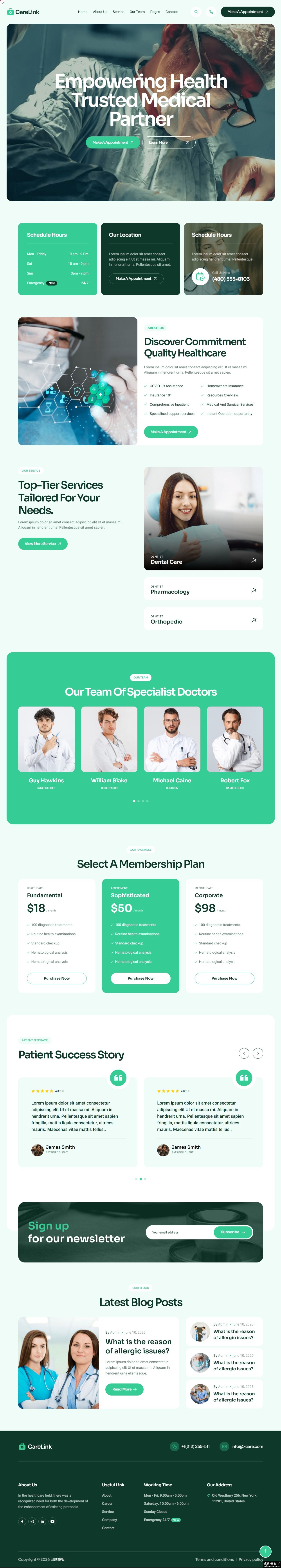 绿色医疗健康机构服务网站模板-PC预览