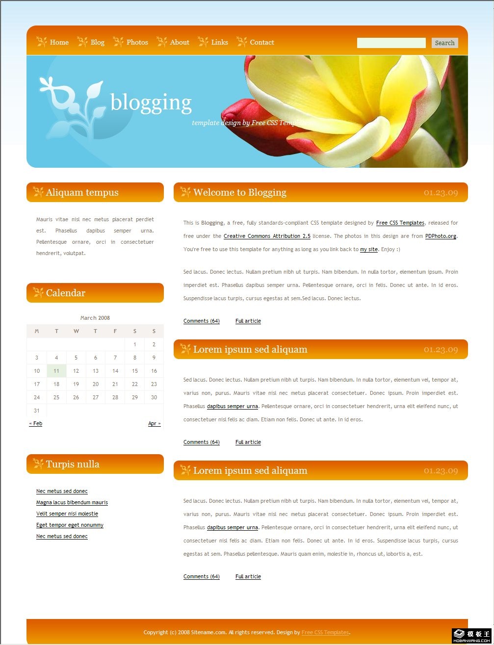 橙黄导航简单BLOG网页模板-PC预览