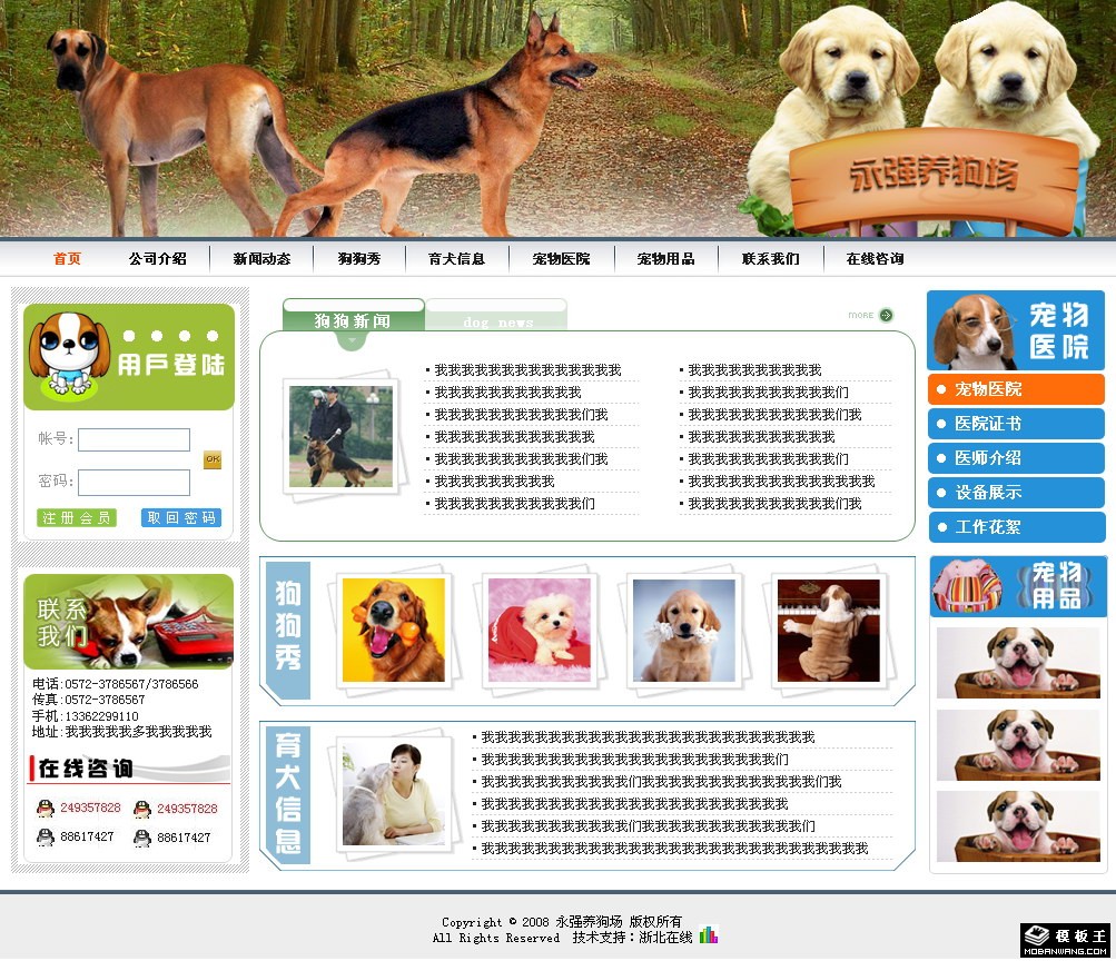 宠物狗公司信息网页模板-PC预览