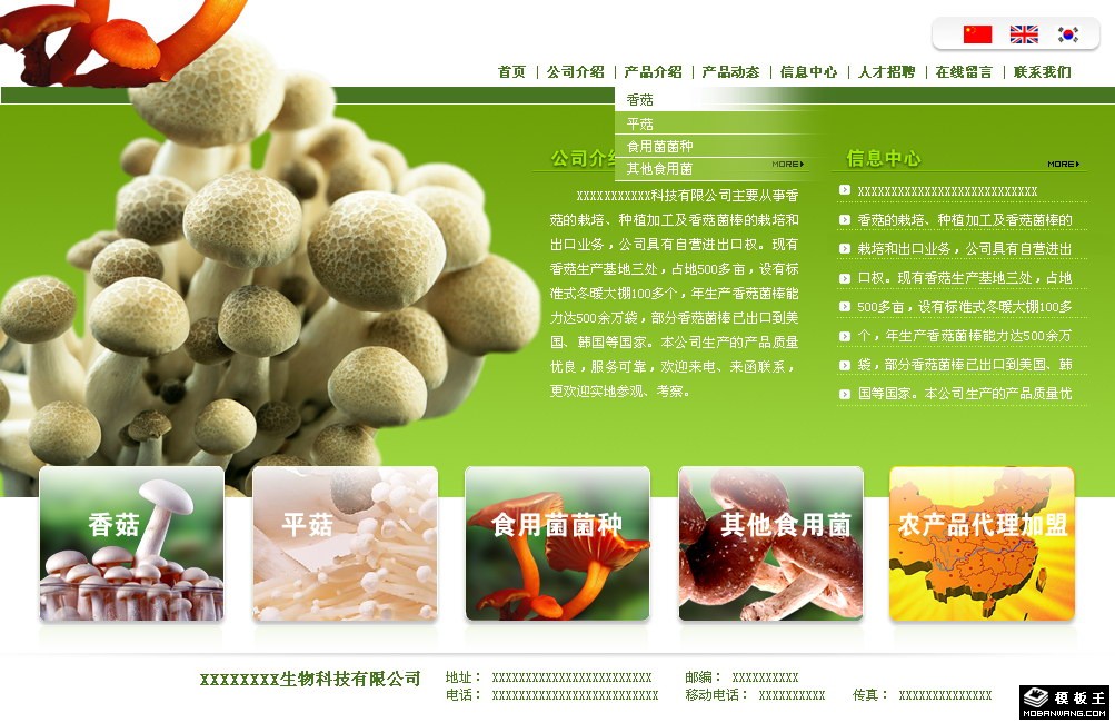 菇菌生物科技公司网页模板-PC预览