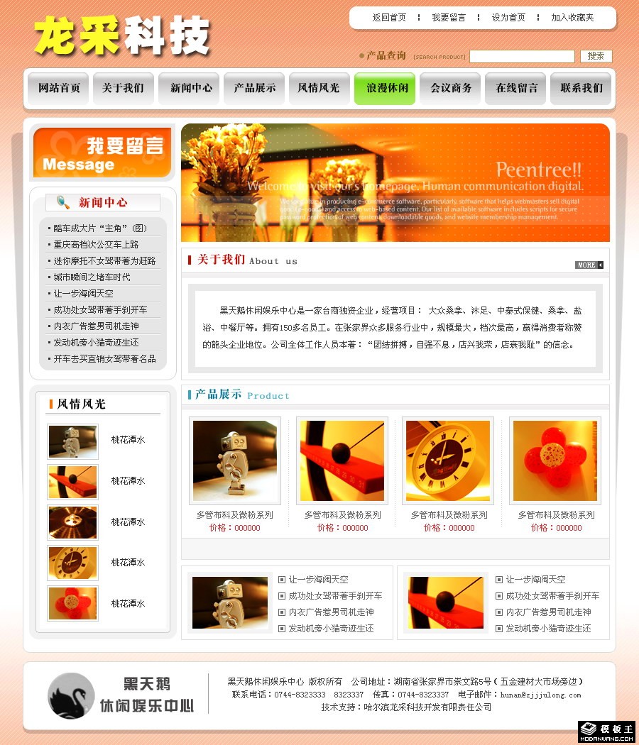 商业公司产品展示网页模板-PC预览
