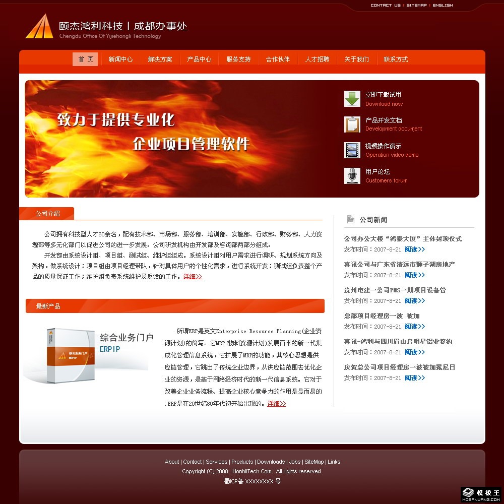 ERP软件公司网页模板-PC预览