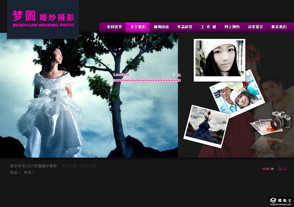 婚纱摄影品牌网页模板-PC预览