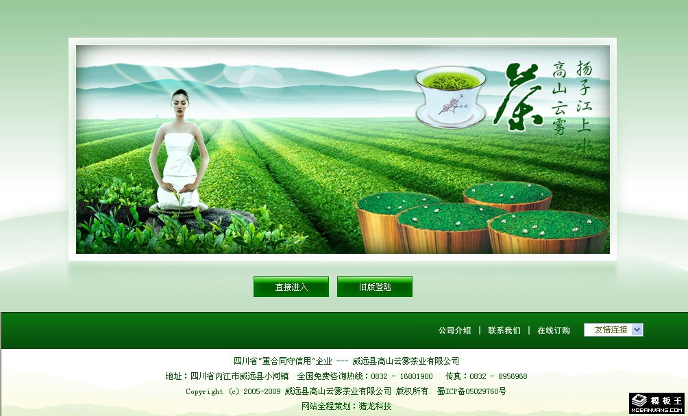 茶业公司引导首页网页模板-PC预览