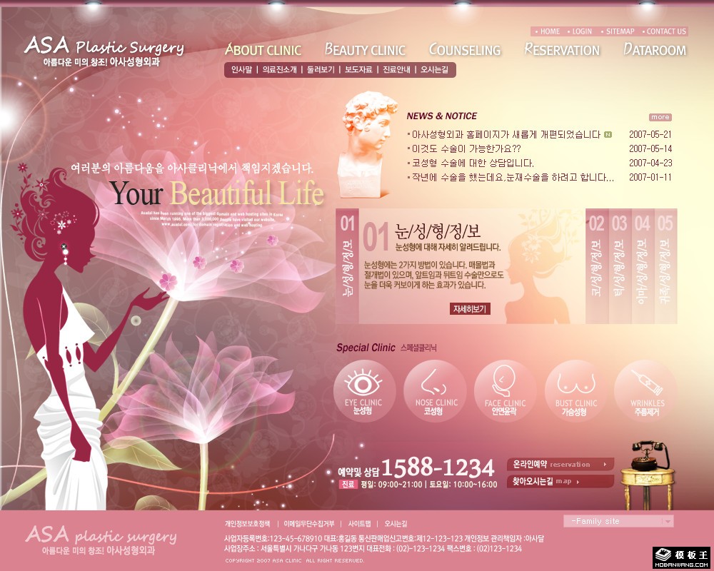 唯美整形美容机构网页模板-PC预览
