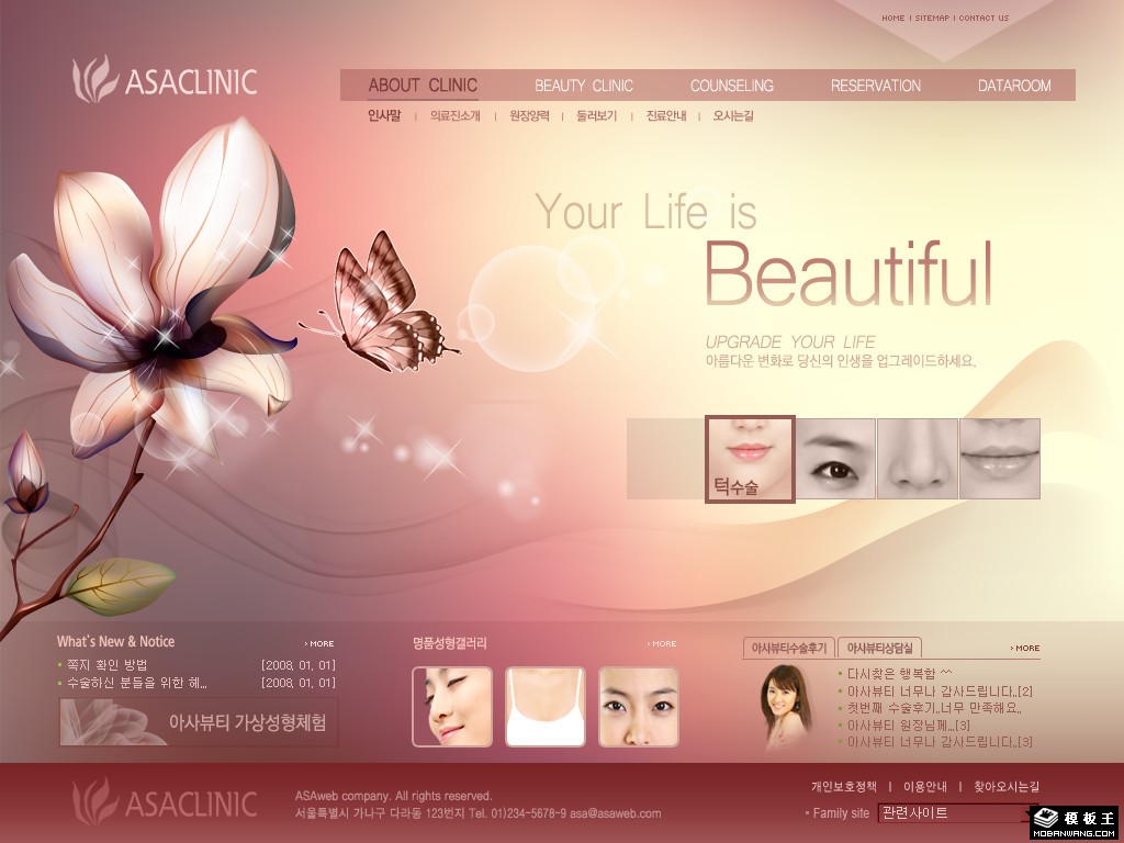 梦幻粉色美容网页模板-PC预览