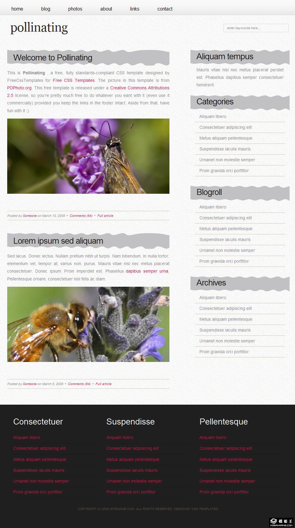 花粉采蜜简洁BLOG网页模板-PC预览