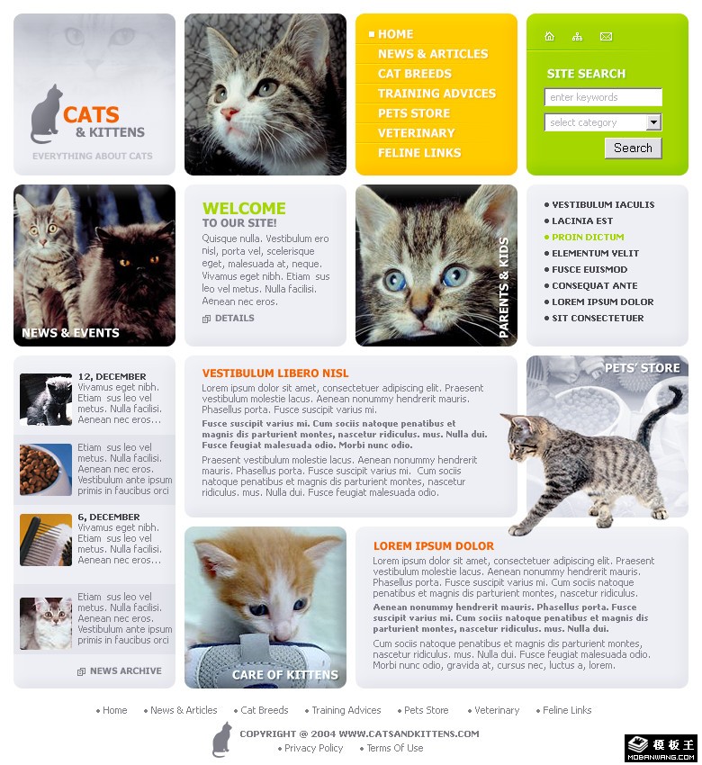 宠物猫商店网页模板-PC预览