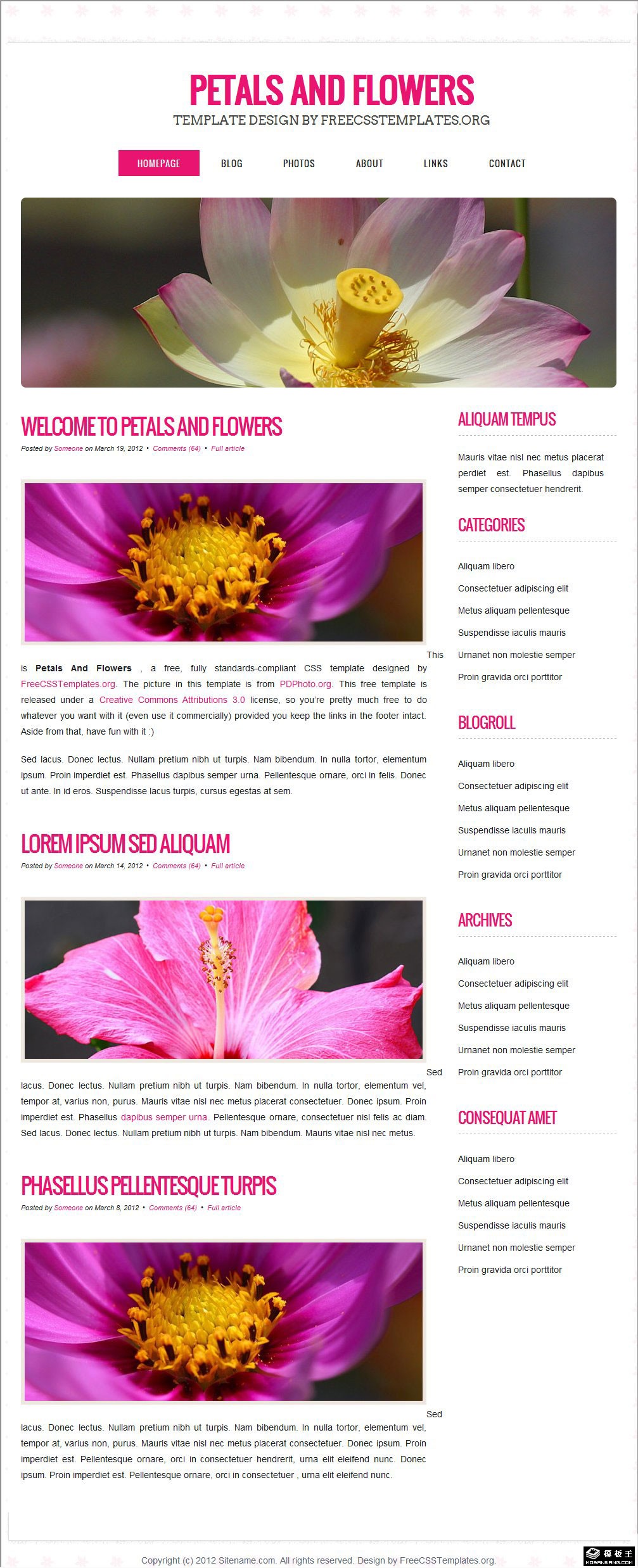 简洁花芯信息网页模板-PC预览