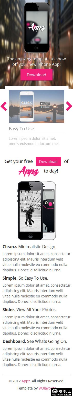 app开发服务公司网页模板-手机预览