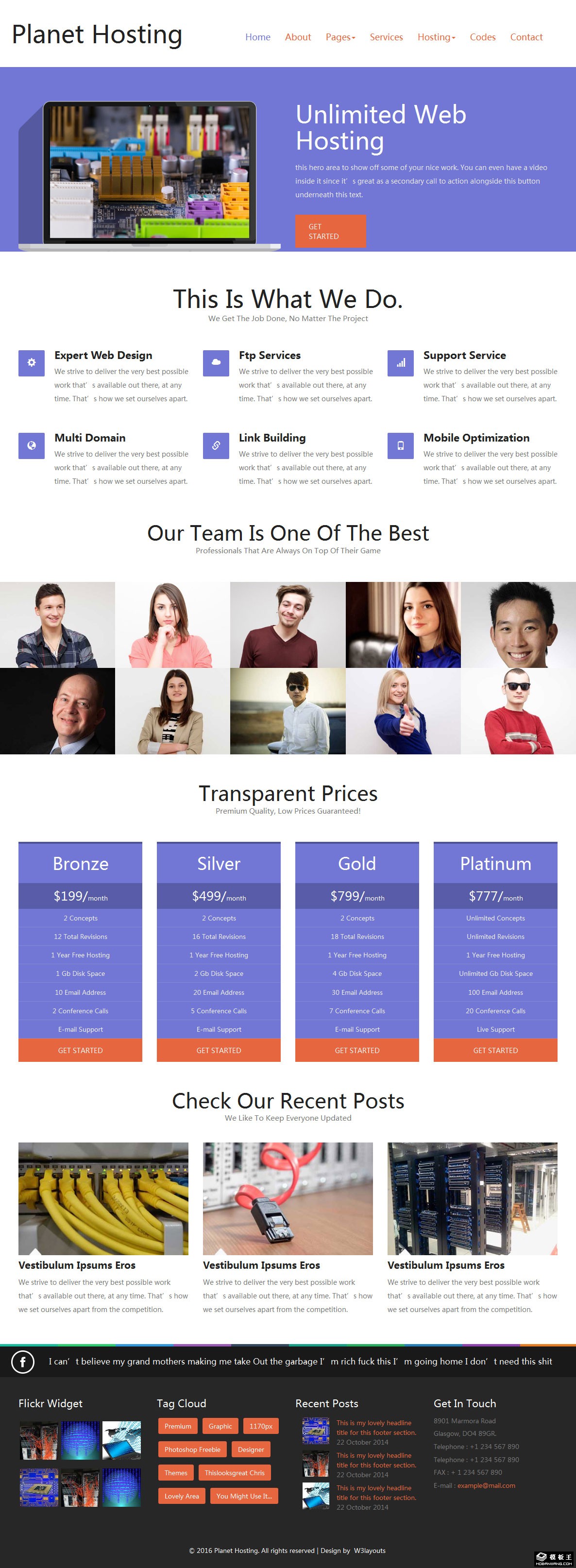 主机托管计划响应式网页模板-PC预览
