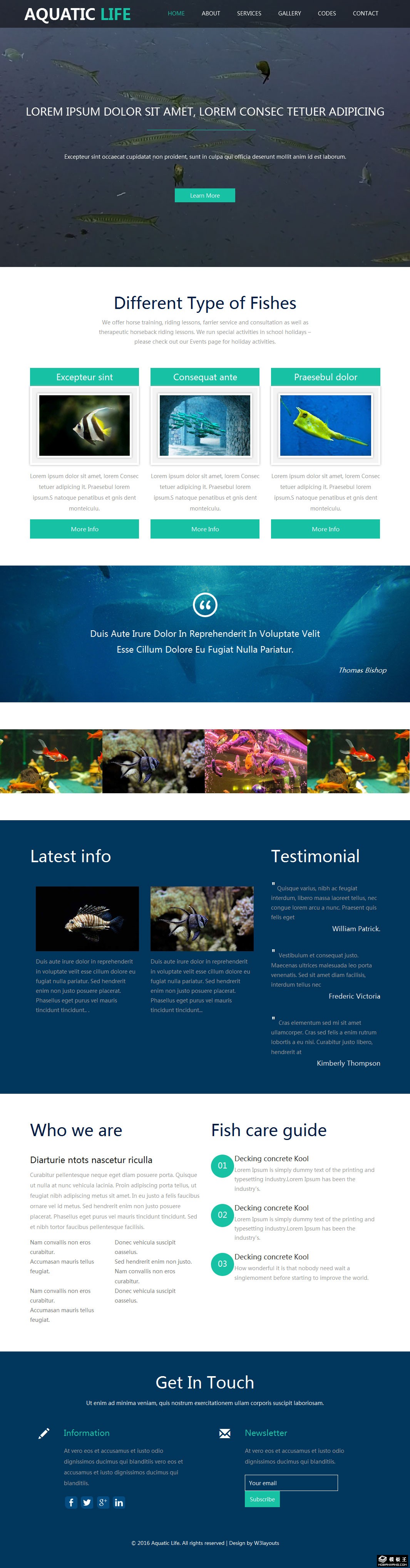 水族生活馆响应式网站模板-PC预览