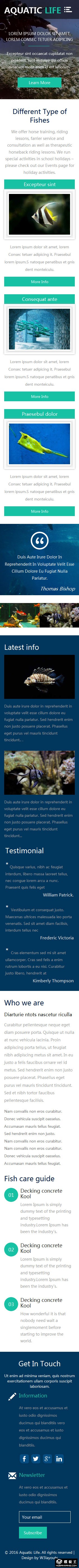 水族生活馆响应式网站模板-手机预览
