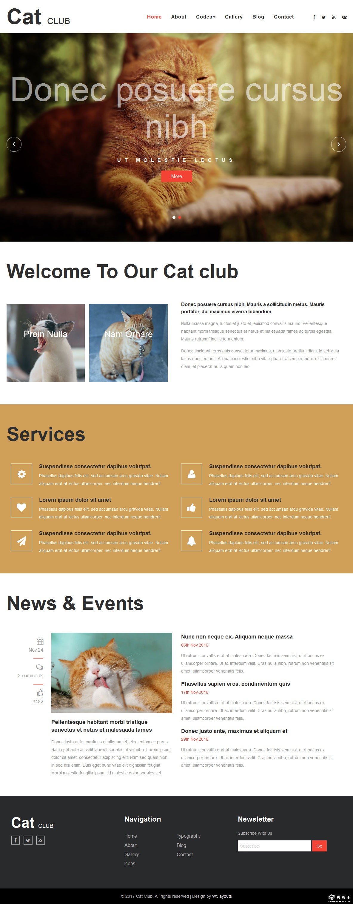 猫咪乐园响应式网页模板-PC预览