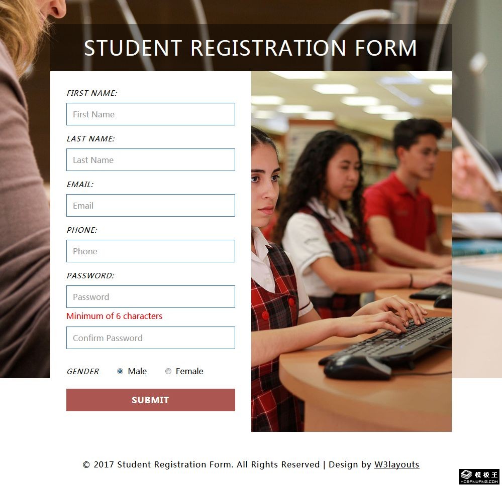学生信息登记表单响应式网页模板-PC预览