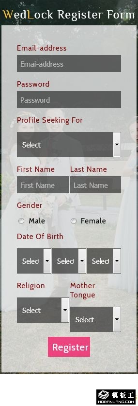 婚姻记录表单网页模板-手机预览